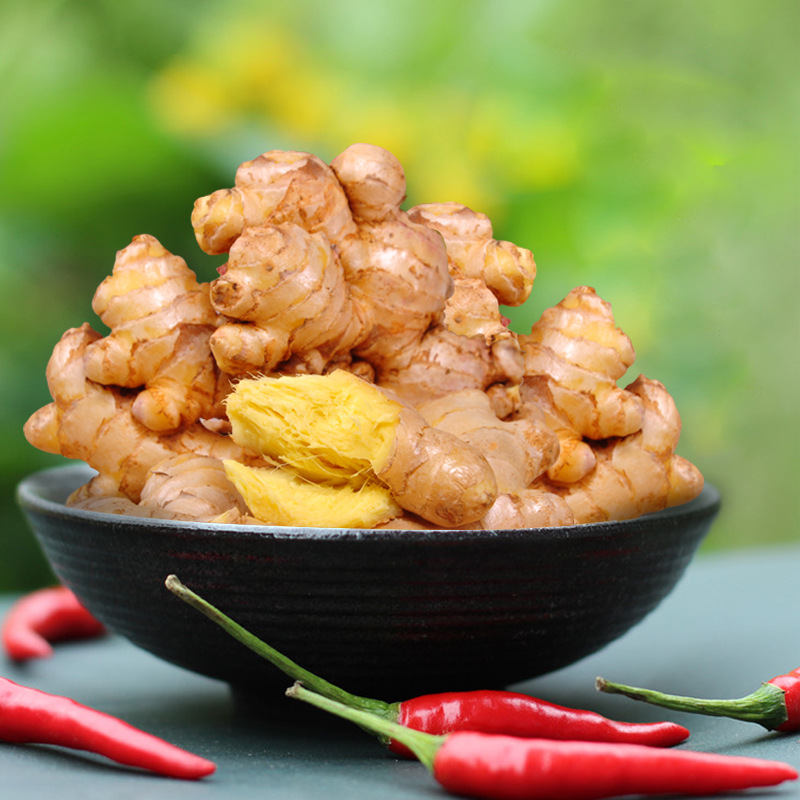 ������ɫС�ƽ�